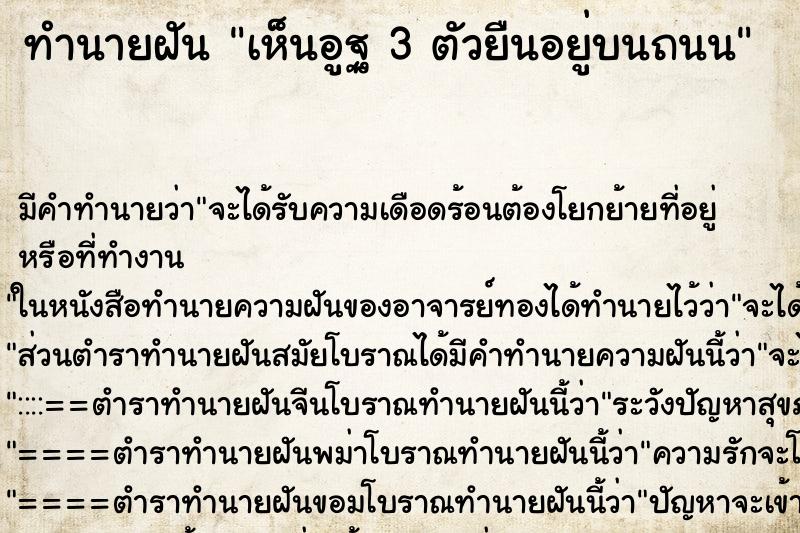 ทำนายฝัน เห็นอูฐ 3 ตัวยืนอยู่บนถนน ทำนายฝัน เห็นอูฐ 3 ตัวยืนอยู่บนถนน
